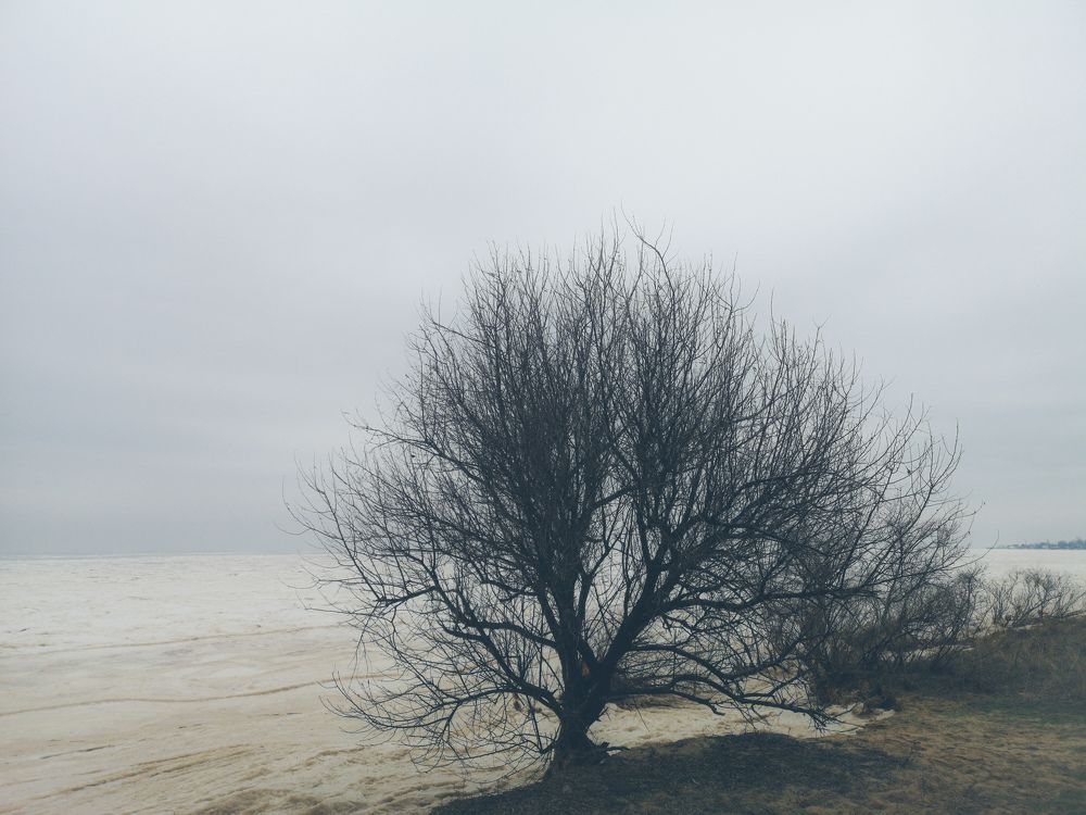 Photograph by Алексей Гуминский