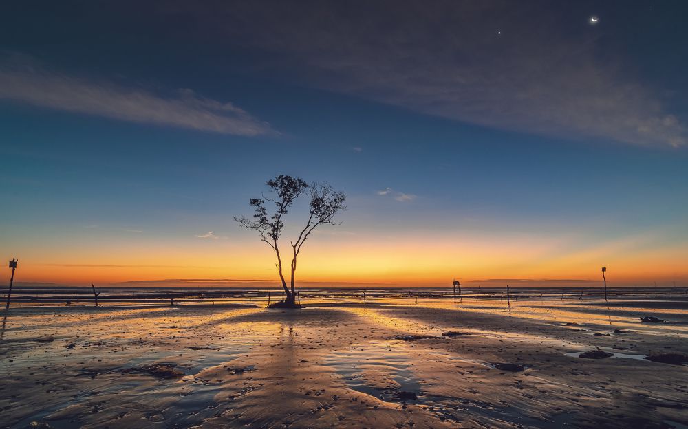 Фотография автора Andy Nguyen