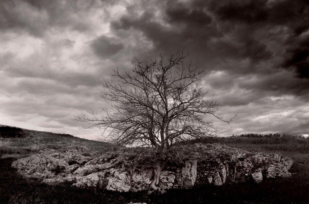 Photograph by Тимур Разиков