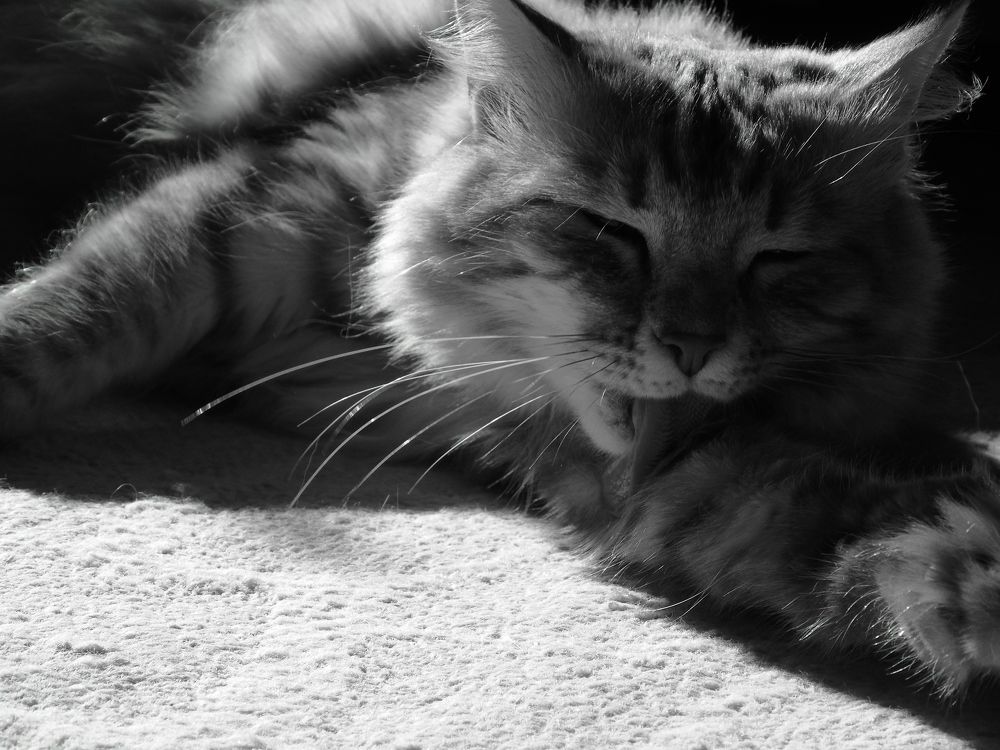 Photograph by Хайбуллина Флора