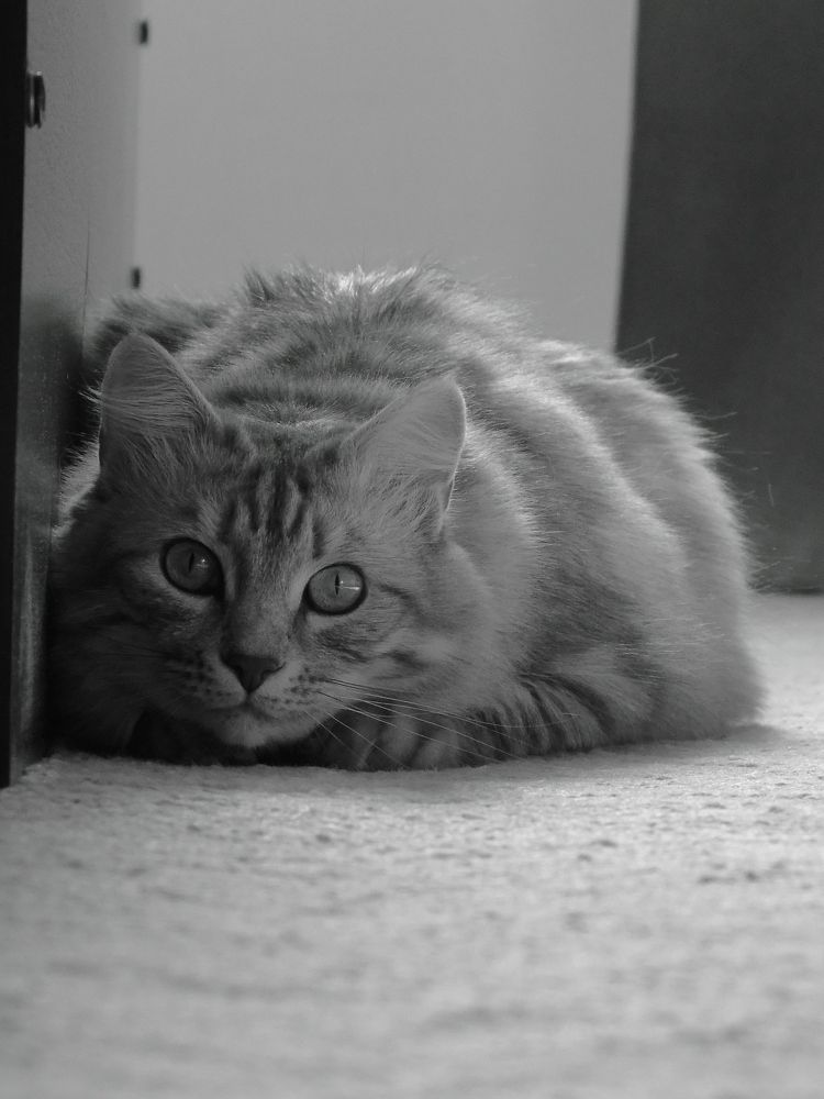 Photograph by Хайбуллина Флора