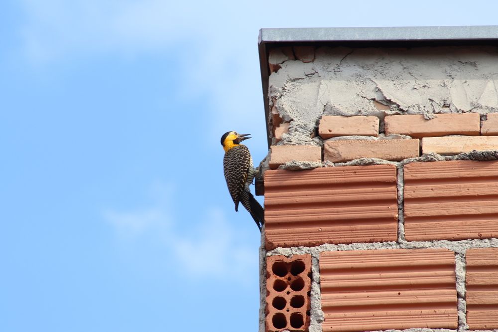 Photograph by Juliana