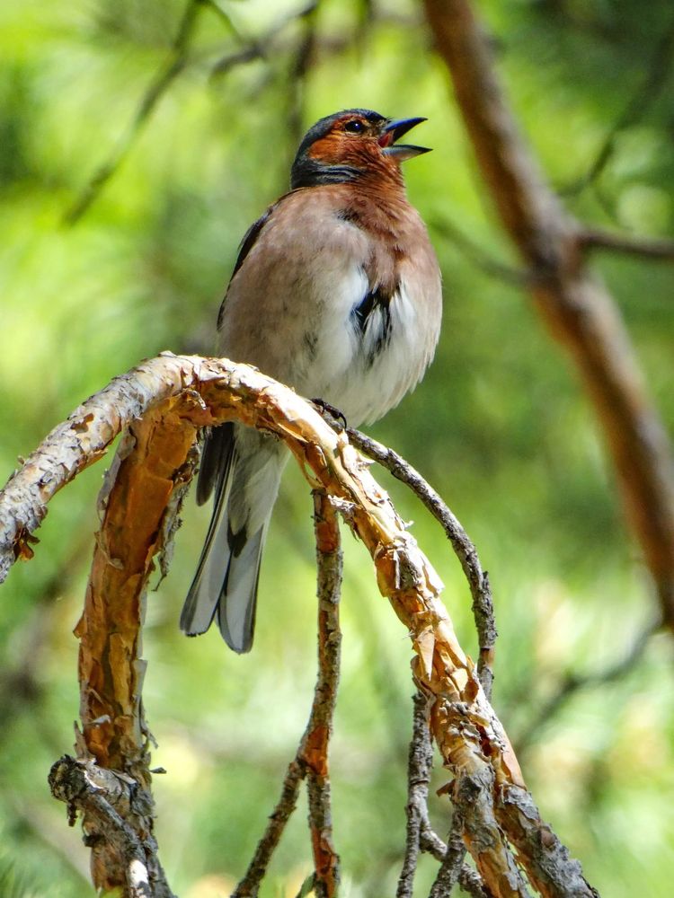 Photograph by Анжелика Трошина