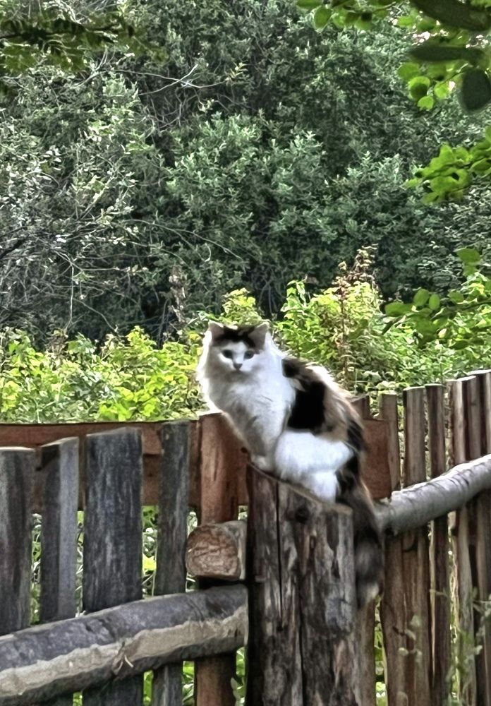 Photograph by Татьяна Михайловна