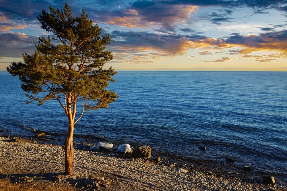 Photograph by Алексей Мякота