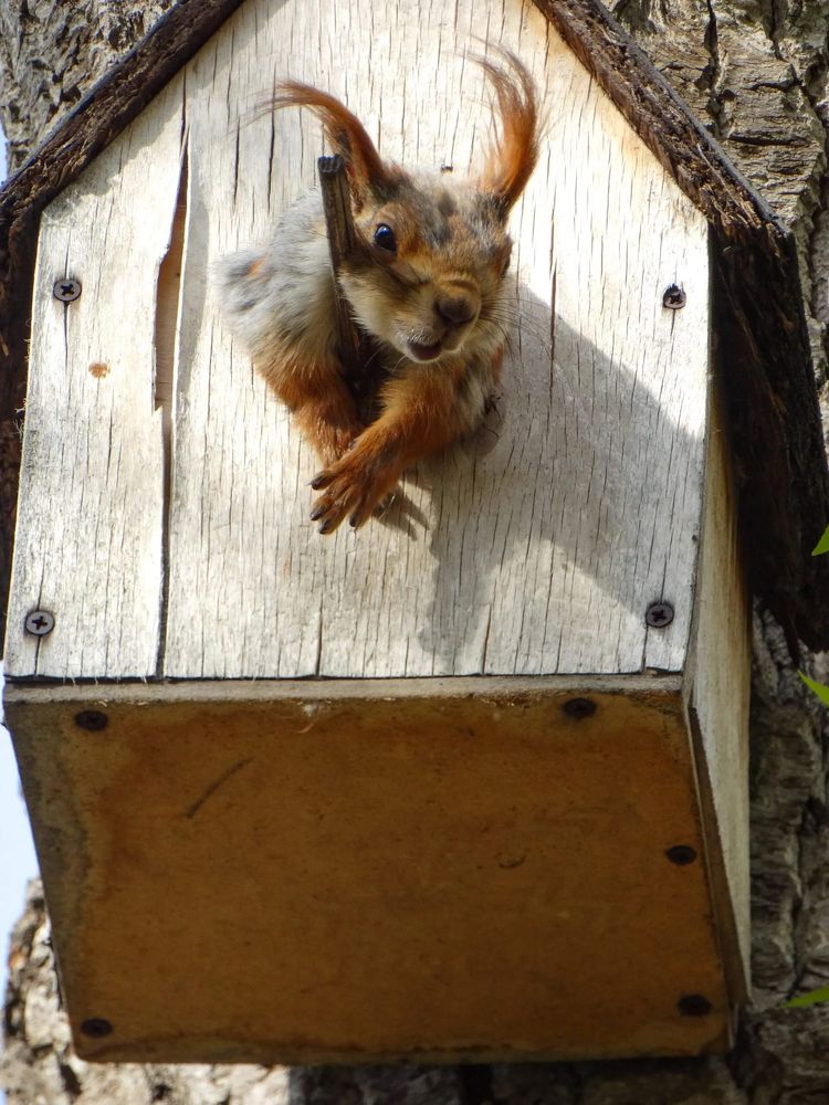 Photograph by Анжелика Трошина