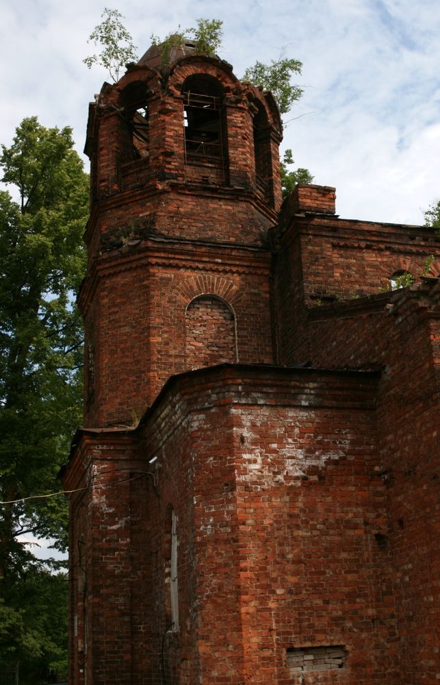 Photograph by елена