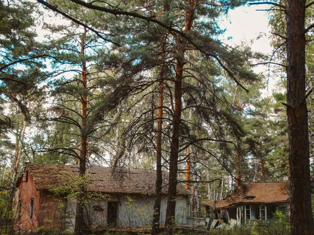 Photograph by Анжелика Трошина