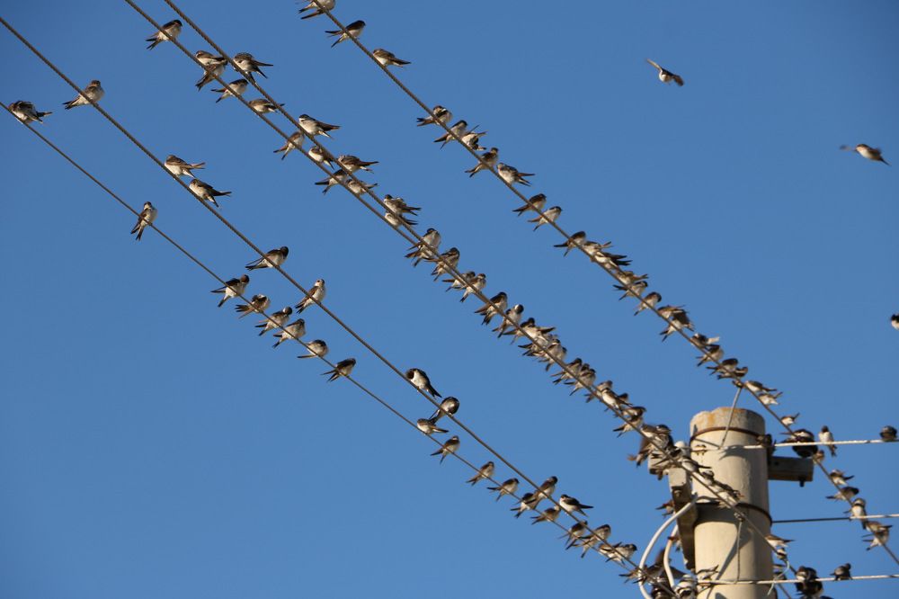 Photograph by Cengiz Yalcin