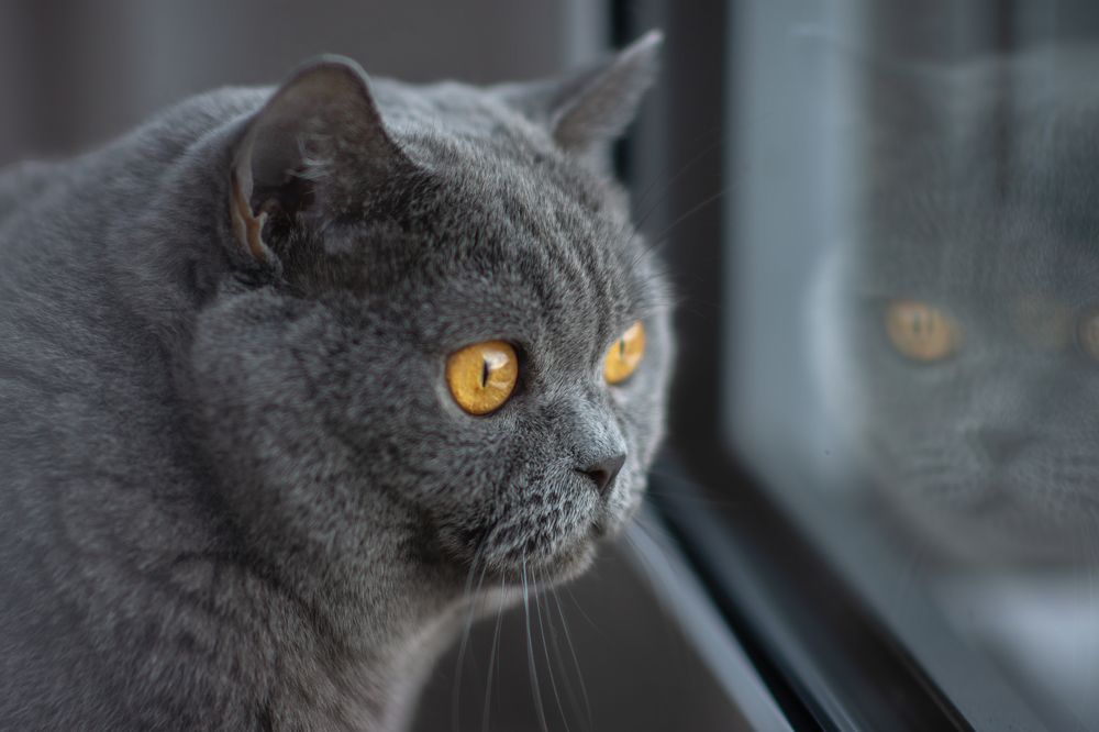 Photograph by Rouven