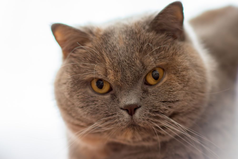 Photograph by Rouven