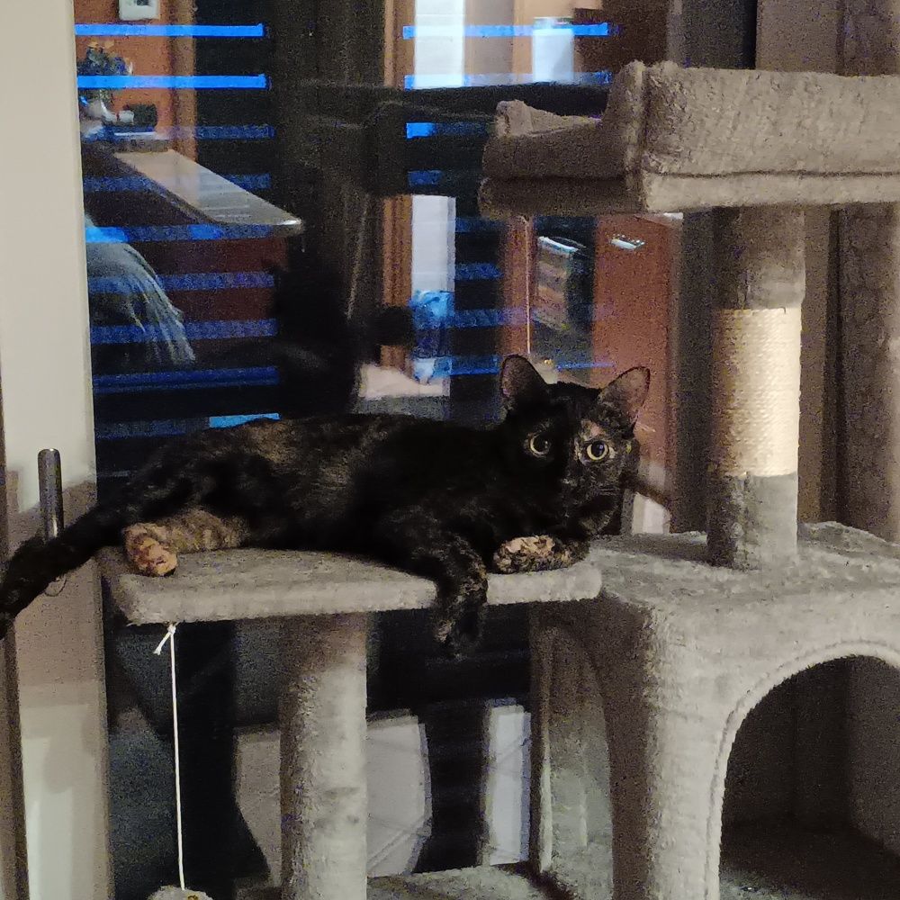 Photograph by Debora