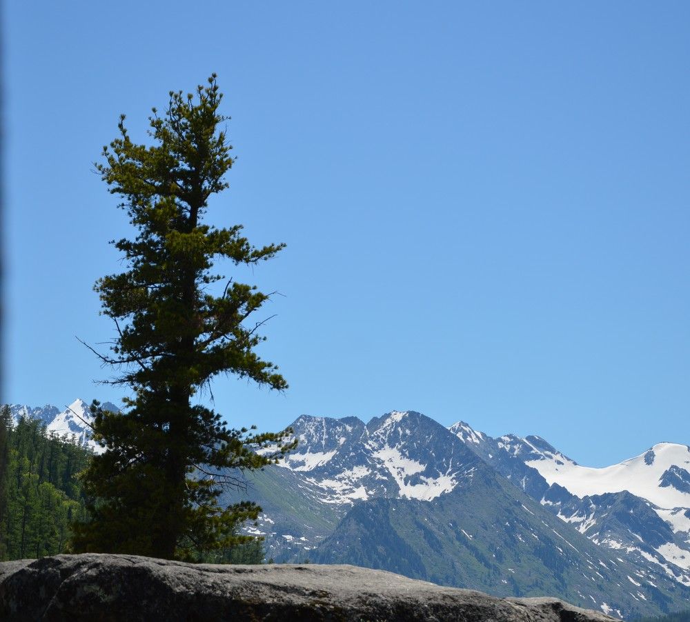 Photograph by Татьяна Ненюхина