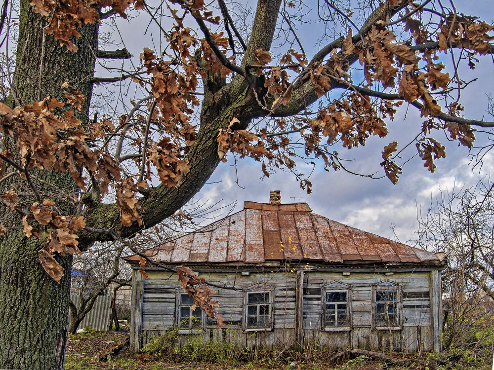 Photograph by Игорь Зиновьев