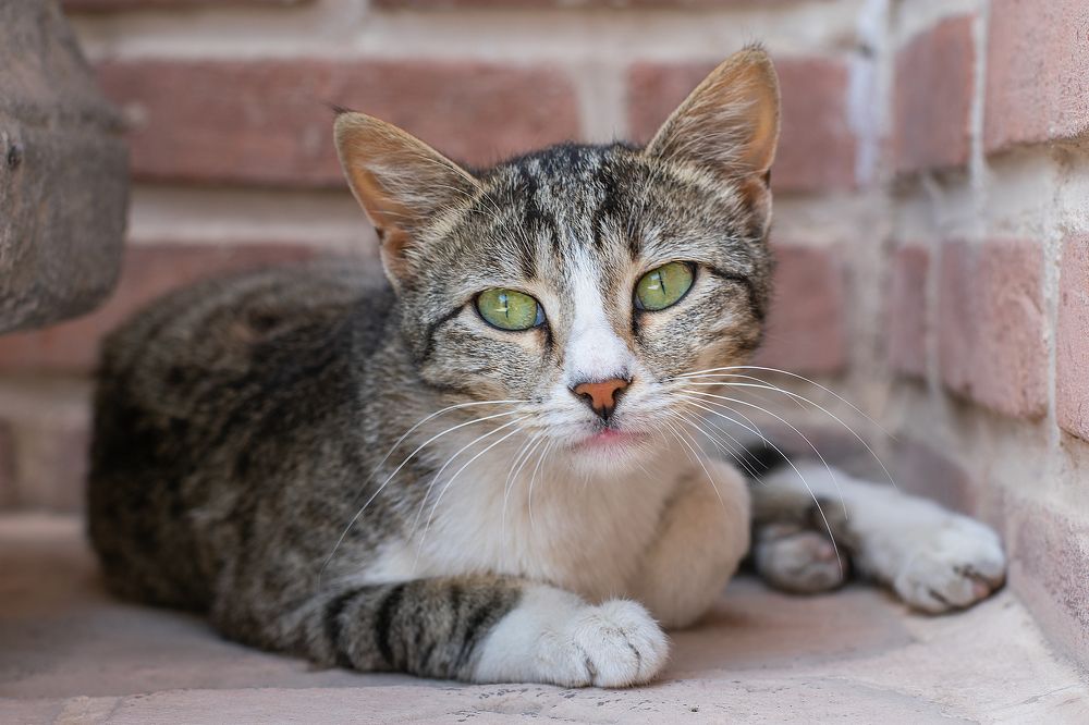 Photograph by Mina Mamdouhi