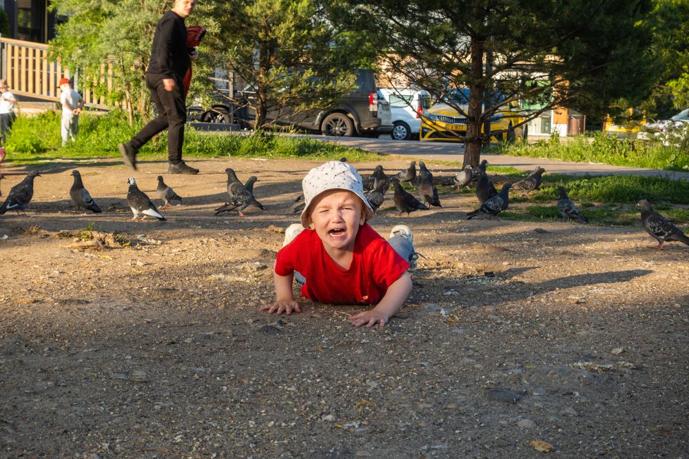 Photograph by Валерий Абдулзябаров