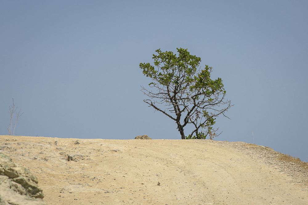 Photograph by Наталья Катюжанская