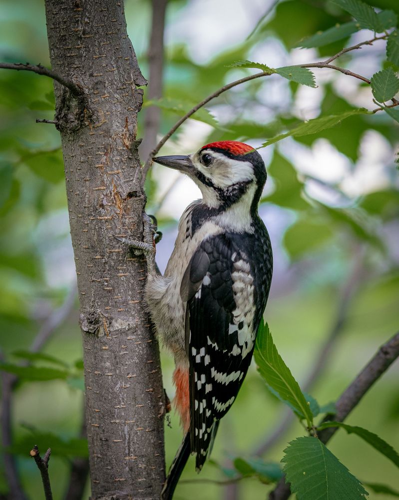 Photograph by Наталья Максимова
