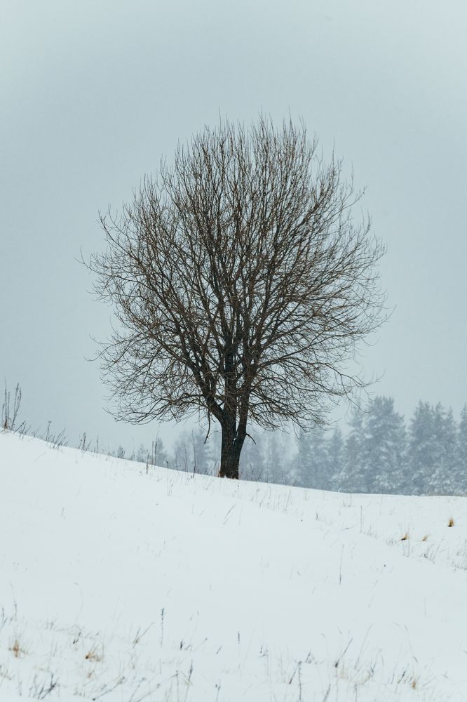 Photograph by Илькин Салимов