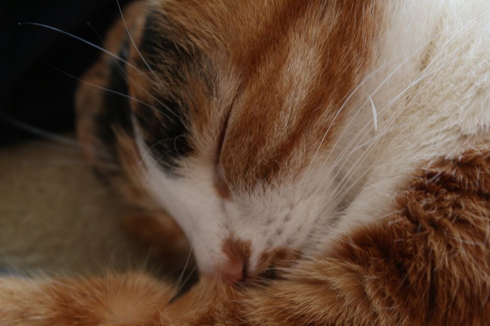 Photograph by Виталий