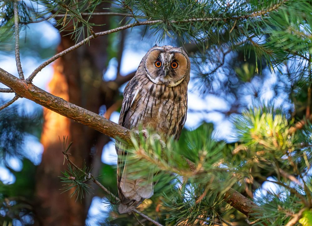 Photograph by Viktor Makarov