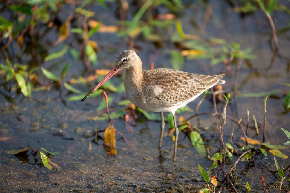 Photograph by Sergey Nikolenko