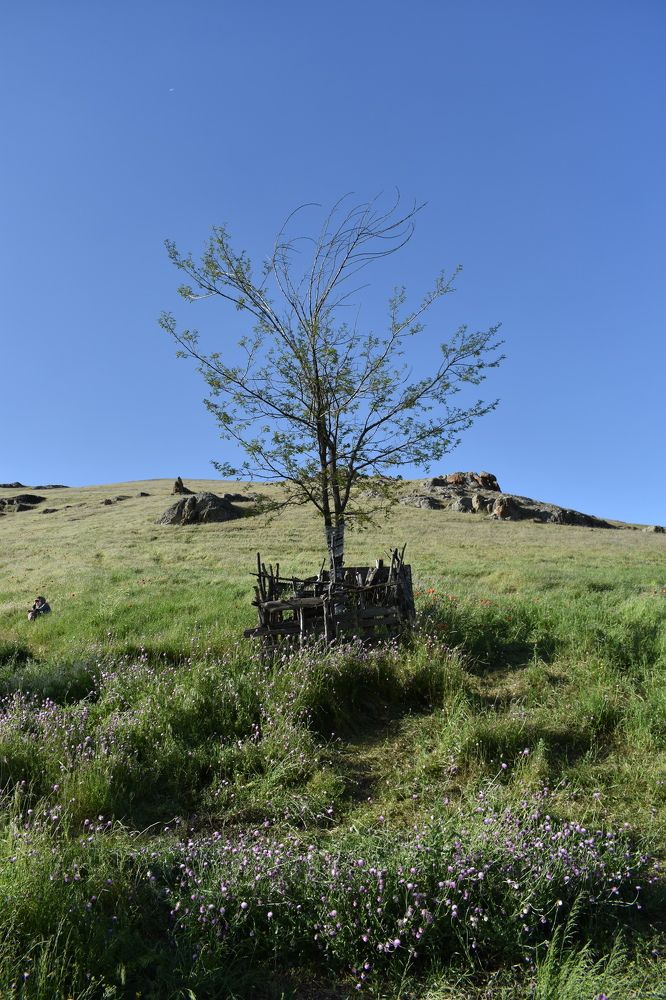 Photograph by Mina Mamdouhi