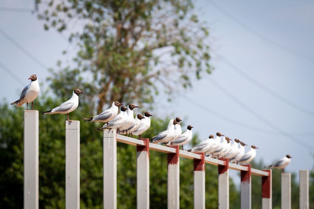 Photograph by Диана Бородзе