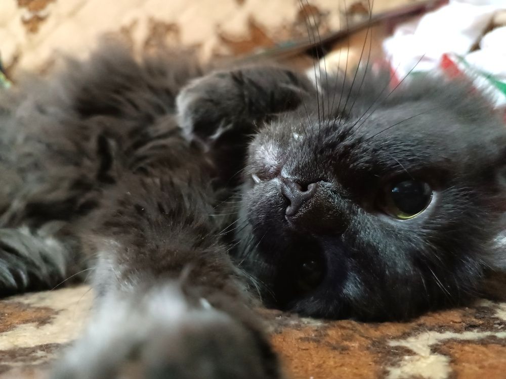 Photograph by ЮЛИЯ ОБРОКОВА