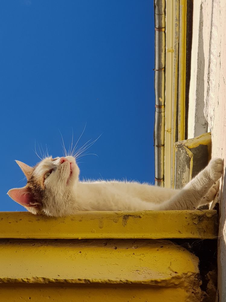 Photograph by Евгения Шулакова