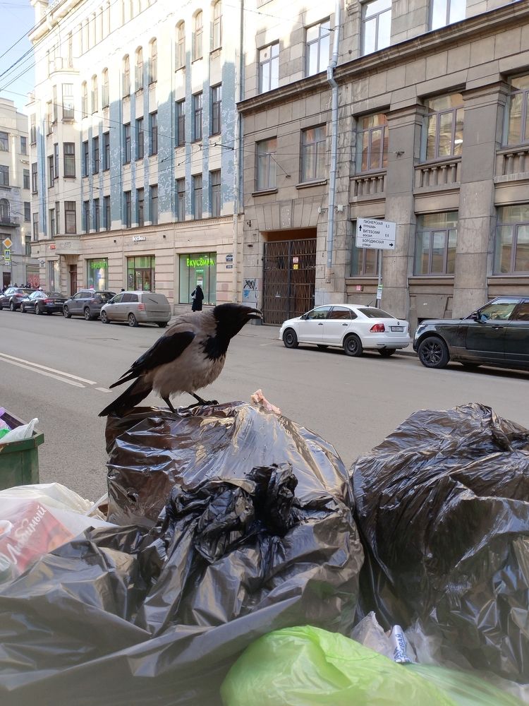 Photograph by Pavel Smurygin