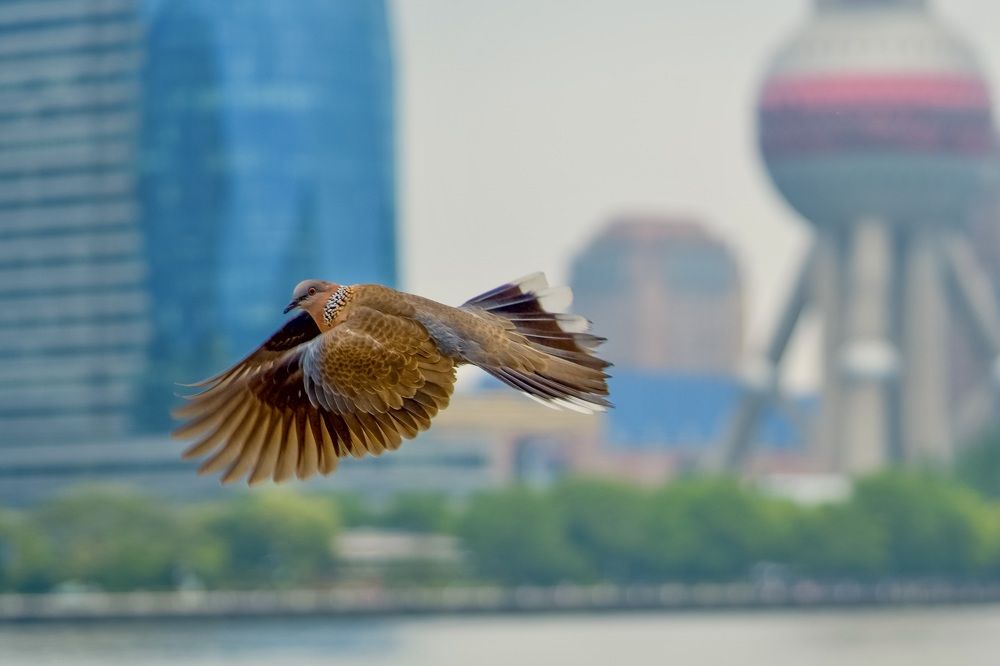 Photograph by Alexey Shevchenko