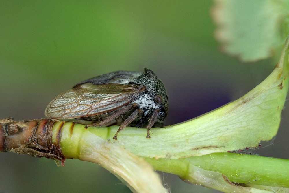 Photograph by Ольга Таланцева