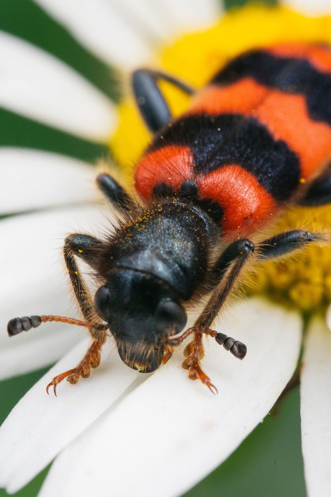 Photograph by Ольга Таланцева