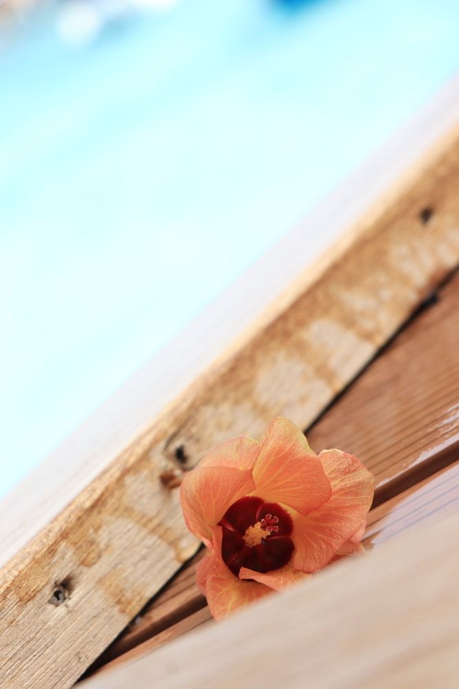 Photograph by Валерия