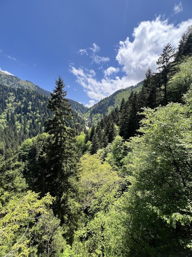 Photograph by Subash