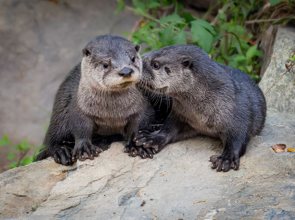 Фотография автора Sarah Jane Moore