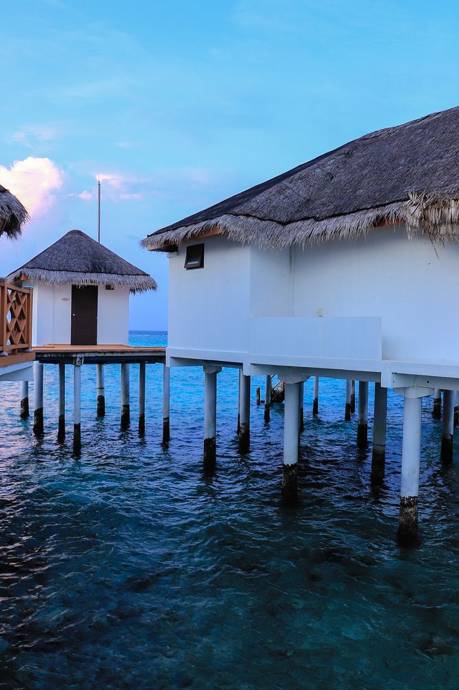 Photograph by Валерия