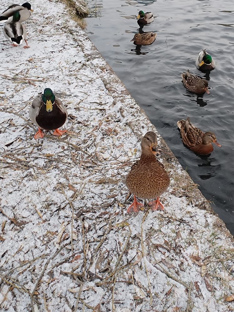 Photograph by Pavel Smurygin