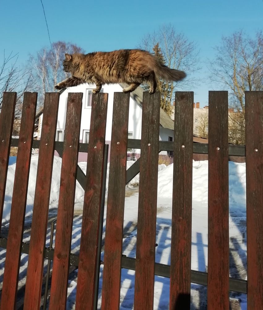 Фотография автора Альбина Хвастунова