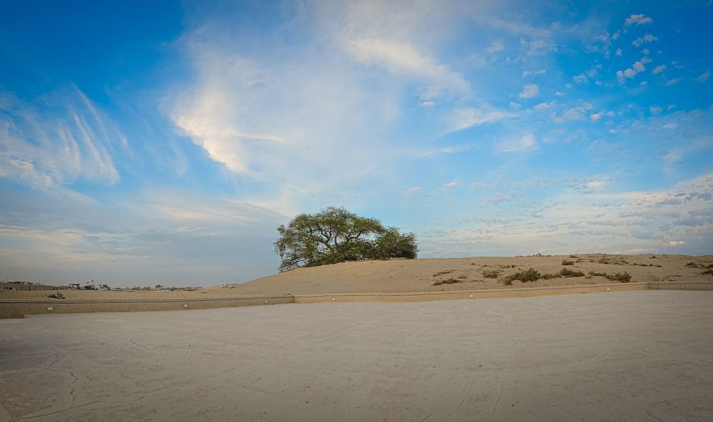 Photograph by Nabeel k Basheer