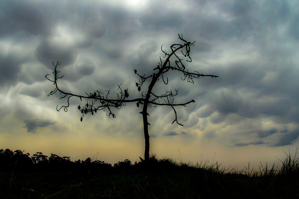 Photograph by Luís Sérgio Gonçalves