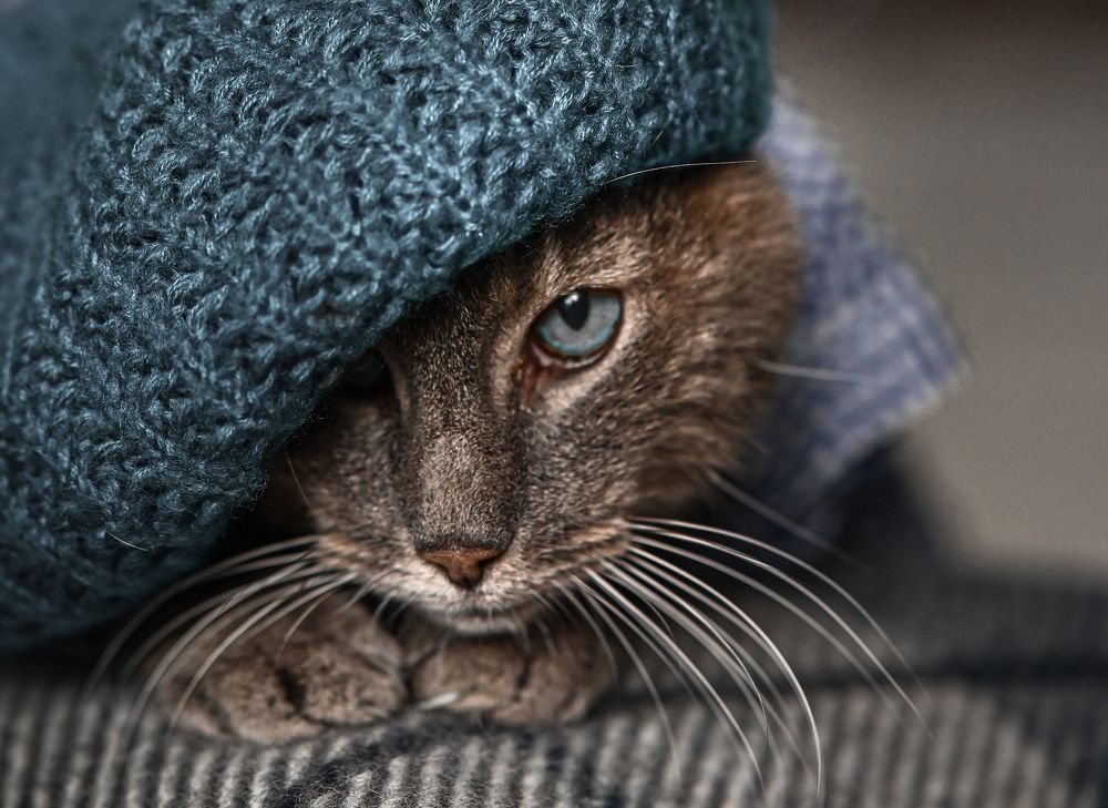 Photograph by Ольга Кудина