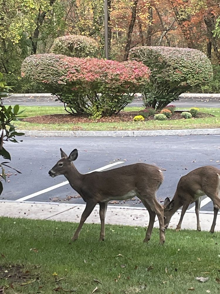 Фотография автора Olga Andriuc