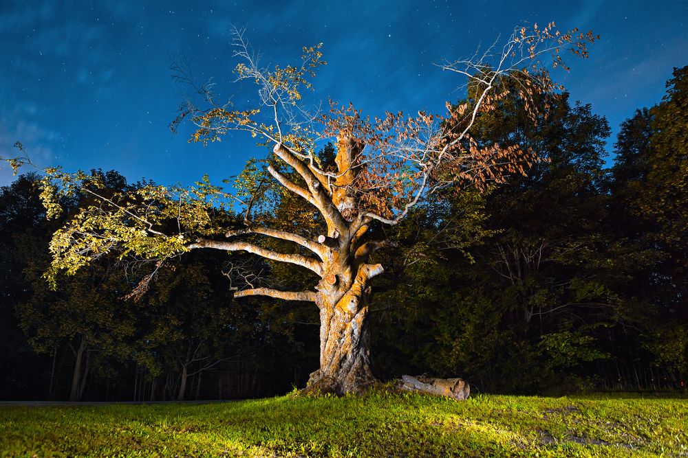 Photograph by Максим Зинчук