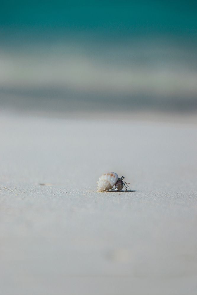 Photograph by Валерия Лунина