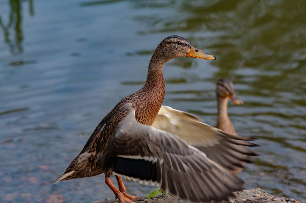Photograph by Евгений Авдеев