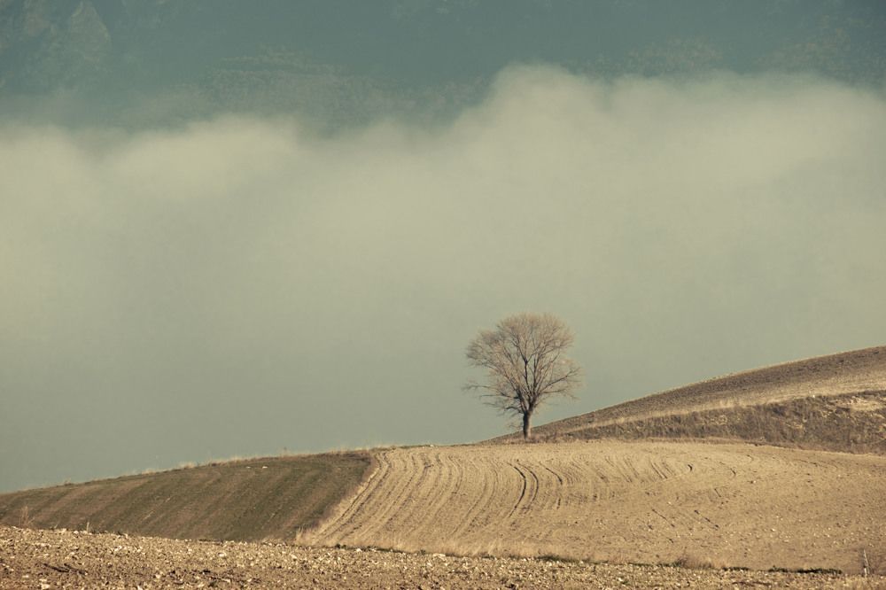 Photograph by Dimitris Vavliaras