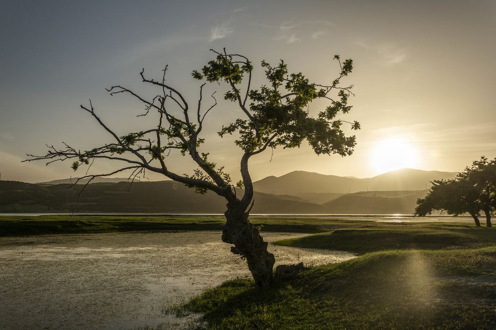 Photograph by Dimitris Vavliaras