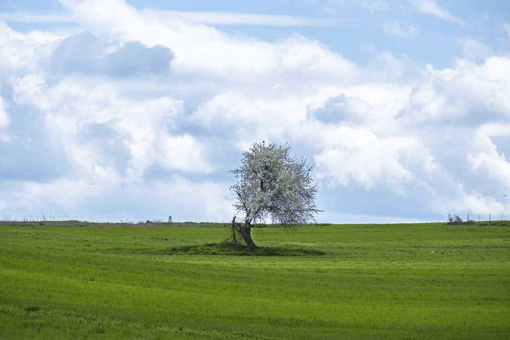 Photograph by Dimitris Vavliaras